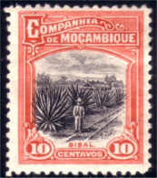 638 Mozambique Plantation Sisal NO Gum Sans Gomme (MOZ-57) - Trees