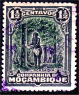 638 Mozambique Tapping Rubber Récolte Caoutchouc Hevea (MOZ-49) - Trees