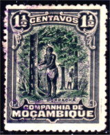 638 Mozambique Tapping Rubber Récolte Caoutchouc Hevea (MOZ-48) - Trees