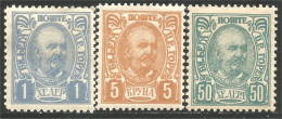 624 Montenegro 1902 Prince Nicolas 1er MH * Neuf (MNT-23) - Montenegro