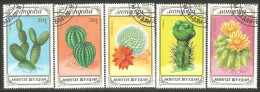 620 Mongolie Fleurs Cactus Cactii Flowers (MNG-79) - Sukkulenten