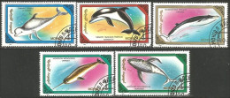 620 Mongolie Baleines Whales Cachalots Balena Capodoglio Ballena Wal Pottwal Dauphins Dolphins Delphin (MNG-76) - Ballenas