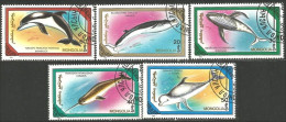 620 Mongolie Baleines Whales Cachalots Balena Capodoglio Ballena Wal Pottwal Dauphins Dolphins Delphin (MNG-77) - Dolphins