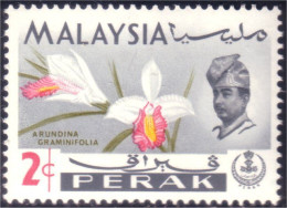 618 Malaysia Malaisie Perak Orchid Orchidee Orchidée MNH ** Neuf SC (MLY-72) - Malaysia (1964-...)