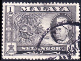 618 Malaya Malaisie Selangor Copra Coprah (MLY-26) - Alimentación