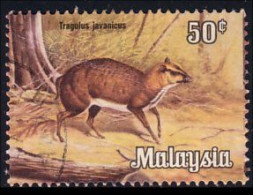 648 Malaisie Chevrotain (MSY-21) - Malaysia (1964-...)