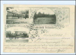 S2497/ Hamburg Gruß Aus Volksdorf  Waldesruh AK 1898 - Wandsbek