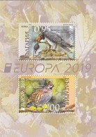 2019 Bulgaria Birds Oiseaux Europa Souvenir Sheet - Ongebruikt