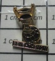 816c Pin's Pins / Beau Et Rare / SPORTS / BOULE DE PETANQUE ET COUPE SEVE-THENON - Petanca