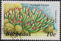 1988 Barbados ° Mi:BB 620YIV, Sn:BB 643e, Yt:BB 722, Pink-tipped Anemone (Condylactis Gigantea) - Barbades (1966-...)