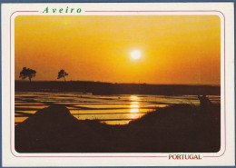 Aveiro - Pôr Do Sol Nas Salinas - Aveiro