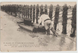 CPA-17 LA ROCHELLE. Pour La Pêche Aux Moules Le Pêcheur Glisse Sur La Vase Avec Un Acon Dans Les Bouchots 22 AOUT 1928 A - La Rochelle