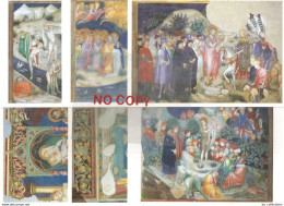 Urbino 12 Cartoline Nuove Differenti, Oratorio Di S.Giovanni, Affreschi Dei Salimbeni. Presepe Del Brandani. - Urbino