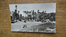 Algérie , Colomb Béchar , L'oued Et La Palmeraie - Bechar (Colomb Béchar)