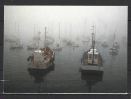 FRANCE. Carte Postale écrite. Brume Sur Le Port. - Fishing Boats