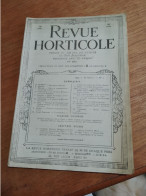 153 // REVUE HORTICOLE 1934 / PLANTES GRASSES......PLUS GROS ARBRES DE FRANCE..... - Jardinería