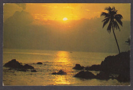 091640/ Ko Phuket, Sunset Over A Palm-fringed Secluded Cove - Tailandia