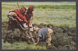 127737/ Region Of Cuzco, Chaquitaclla, Paesants Tilling The Soil As In The Inca Times - Perù