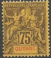 GUAYANA FRANCESA YVERT NUM. 41 NUEVO SIN GOMA - Neufs