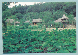 Korean Folk Vilage - A Taro Field And A Watchtower - Corée Du Sud