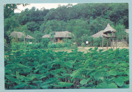 Korean Folk Vilage - A Taro Field And A Watchtower - Corea Del Sur