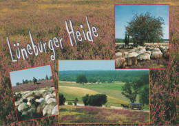 27029 - Lüneburger Heide - Ca. 1995 - Lüneburger Heide