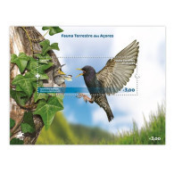 Portugal ** & Azores Terrestrial Fauna 2023 (97977) - Azores