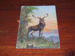 72730-                   OLD CARD - HERTEN / DEER / HIRSCH / CERF - Other & Unclassified