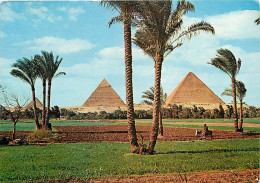 Egypte - Gizeh - Giza - Les Pyramides - The Pyramids - Voir Timbre - CPM - Voir Scans Recto-Verso - Guiza