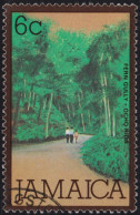 1979 Jamaica ° Mi:JM 470, Sn:JM 469, Yt:JM 478, Sg:JM 465, Fern Gully, Ocho Rios - Giamaica (1962-...)