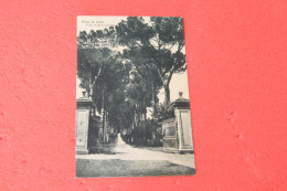 Macerata Passo Di Treia Viale Villa Lazzarini 1941 Ed. Vallese - Macerata