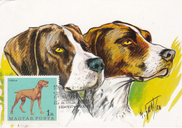 Carte Maximum Hongrie Hungary Chien Dog  1905 - Tarjetas – Máximo