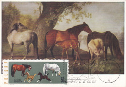 Carte Maximum Hongrie Hungary Cheval Horse 1315 - Tarjetas – Máximo