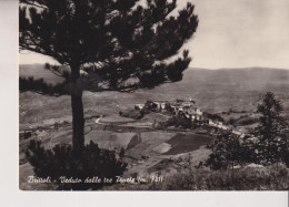 BRITTOLI PESCARA  VEDUTO DALLE TRE PINETE  VG  1956 - Pescara