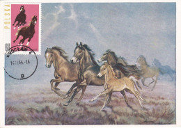 Carte Maximum Hongrie Hungary Cheval Horse 1316 - Maximum Cards & Covers