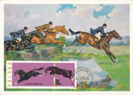 Carte Maximum Hongrie Hungary Cheval Horse 1317 - Maximum Cards & Covers