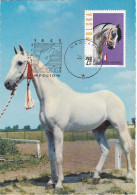 Carte Maximum Hongrie Hungary Cheval Horse 1319 - Cartoline Maximum