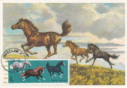 Carte Maximum Hongrie Hungary Cheval Horse 1320 - Maximum Cards & Covers