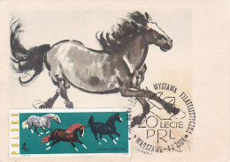 Carte Maximum Hongrie Hungary Cheval Horse 1320 - Cartoline Maximum