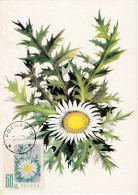 Carte Maximum Hongrie Hungary Fleur Flower 904 Marguerite - Cartes-maximum (CM)