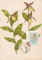 Carte Maximum Hongrie Hungary Fleur Flower 907 Iris - Maximumkarten (MC)