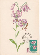 Carte Maximum Hongrie Hungary Fleur Flower 908 Lys Lily - Cartoline Maximum