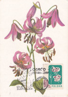 Carte Maximum Hongrie Hungary Fleur Flower 908 Lys Lily - Cartes-maximum (CM)