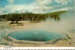 20-3-2024 (3 Y 33) USA - Crested Pool - Yellowstone