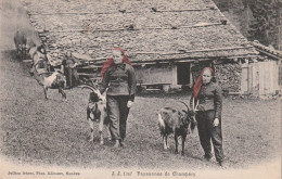 PAYSANNES DE CHAMPERY - Champéry