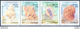 Conchiglie 1994. - Somalia (1960-...)