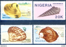 Conchiglie 1987. - Nigeria (1961-...)