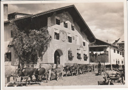 DORFPARTIE SCOUL - SCHULS - Scuol