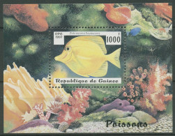 Guinea 1997 Fische Korallen Block 510 Postfrisch (C28980) - Guinée (1958-...)
