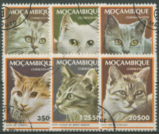 Mocambique 1979 Katzen Hauskatzen 681/86 Gestempelt - Mozambique